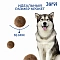 Jarvi сухой корм для взрослых собак средних и крупных пород с говядиной срок до 06.12.26 #3